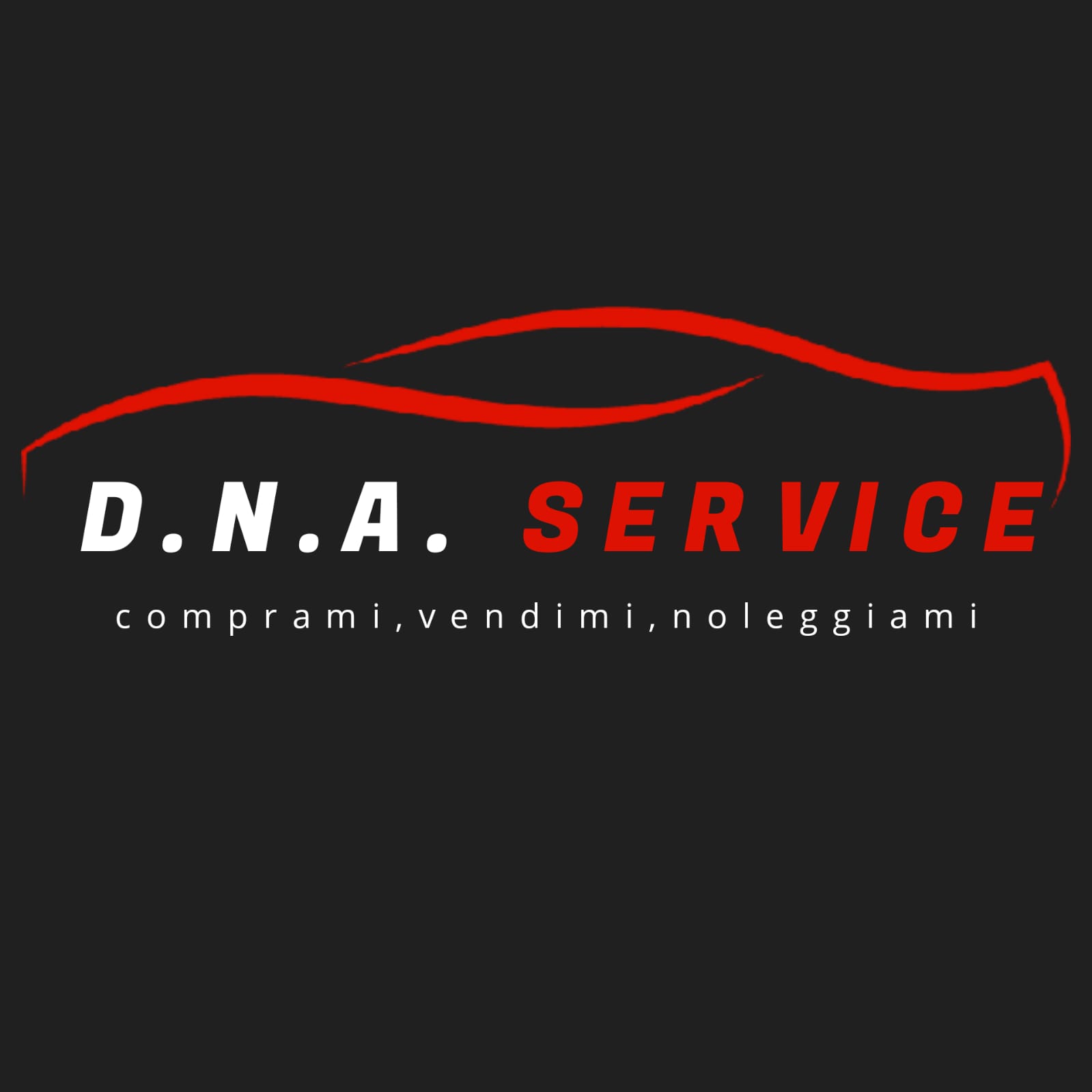 DNA SERVICE Autonoleggio Reggio Emilia e Piacenza